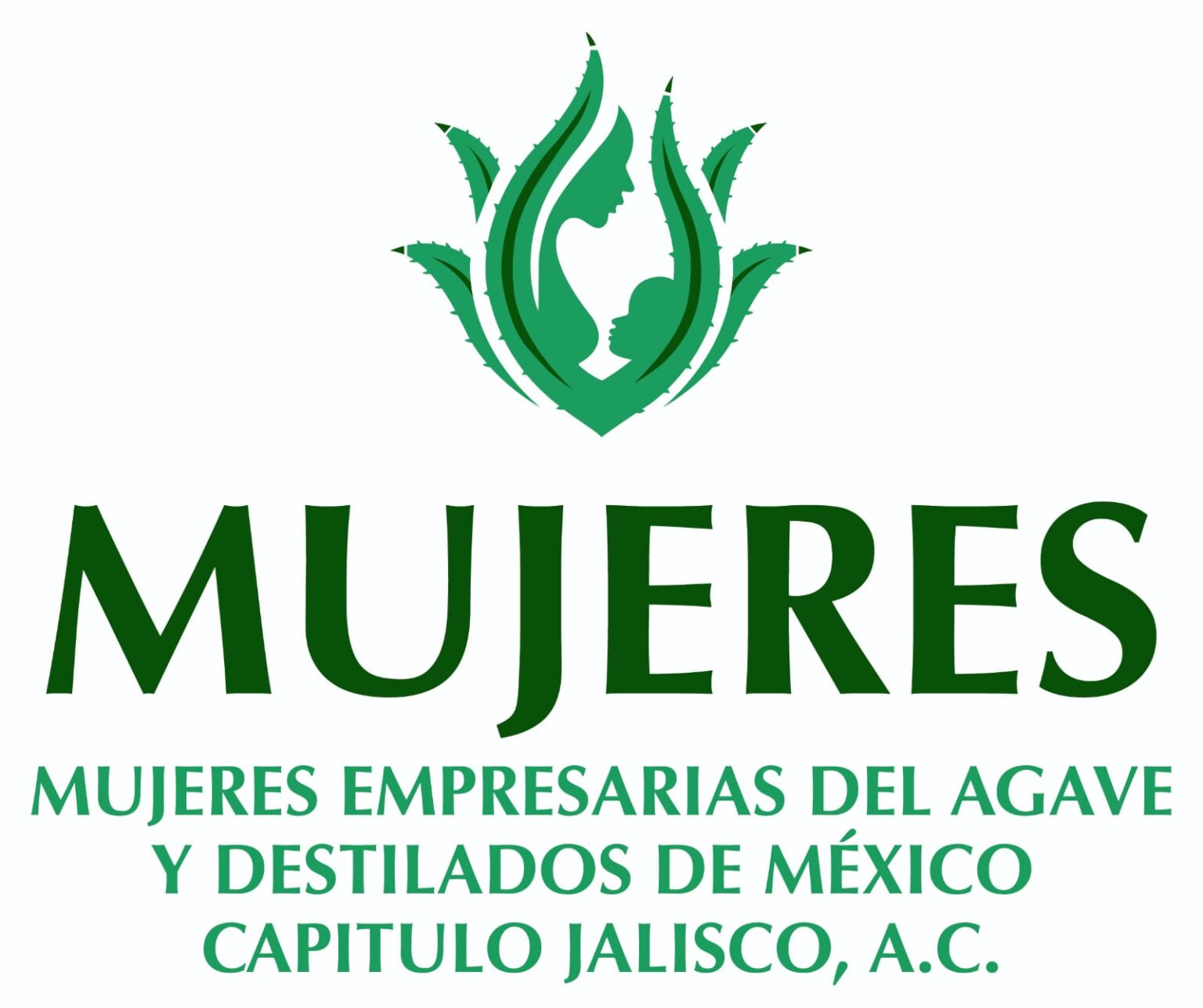 Imagen de WhatsApp 2025-05-02 a las 16.15