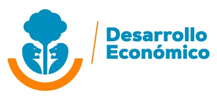 DESARROLLO-01